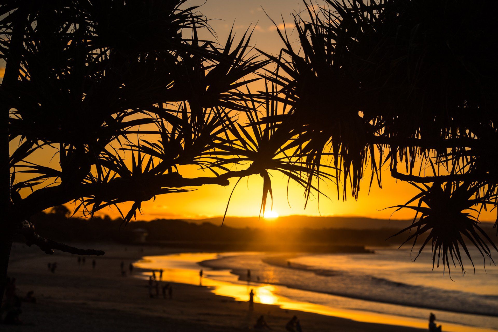 Sunset marriage packages Little Cove Noosa Wedding Celebrant