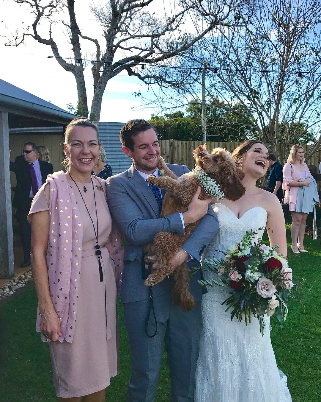 Animal friendly wedding in Noosa Hinterlands Noosa Wedding Celebrant