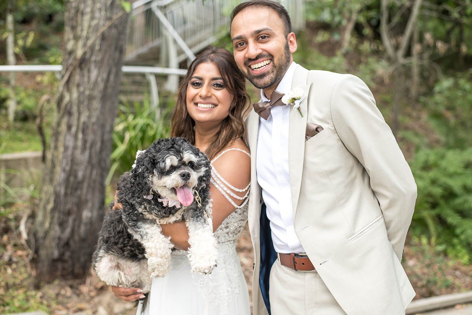 Pet friendly elopement venues Little Cove Noosa Wedding Celebrant