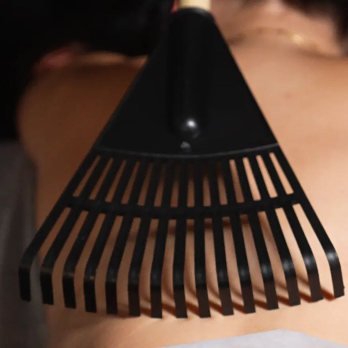 Black garden rake held against a light-colored background.