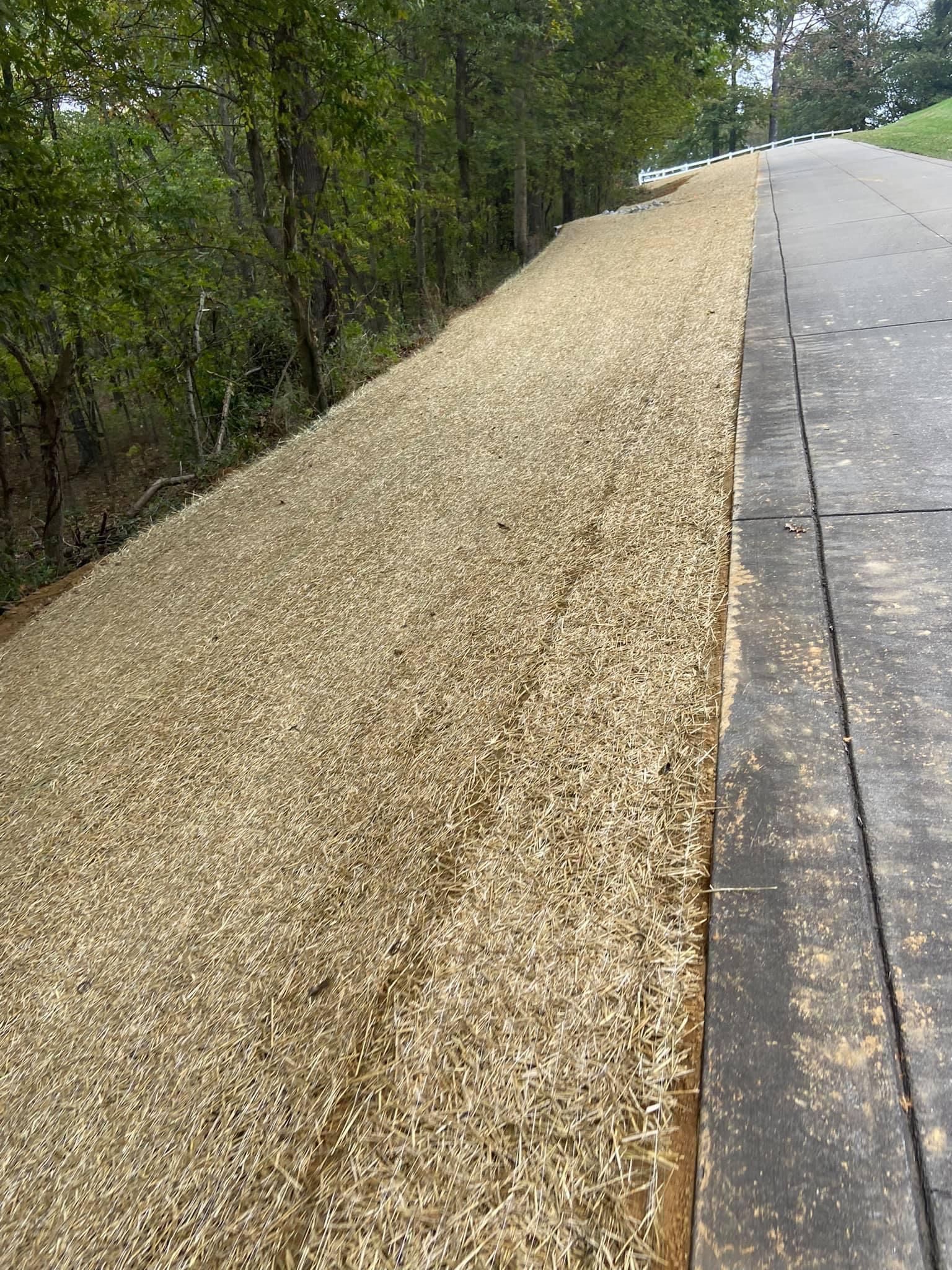 A dirt road going up a grassy hill with trees in the background.