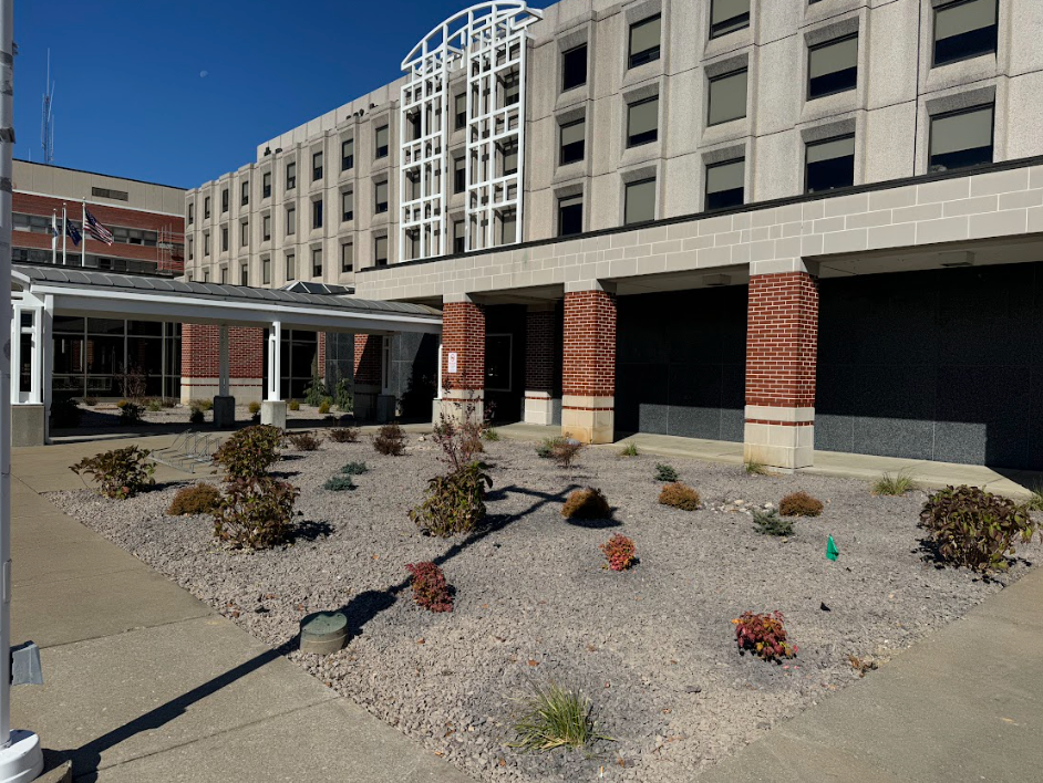 An aerial view of a man standing on a cobblestone path in a garden.