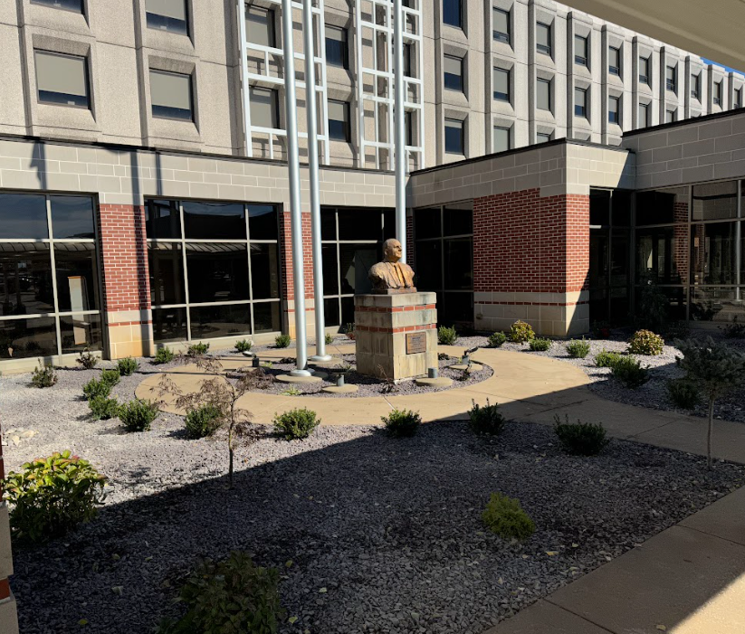An aerial view of a man standing on a cobblestone path in a garden.