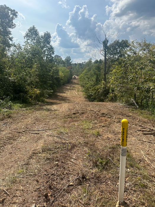 A concrete walkway leading to a house with a lush green lawn.