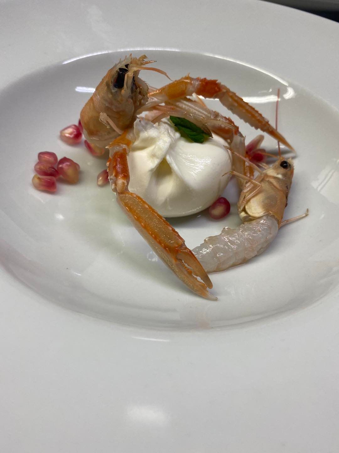 mozzarella di bufala e scampi