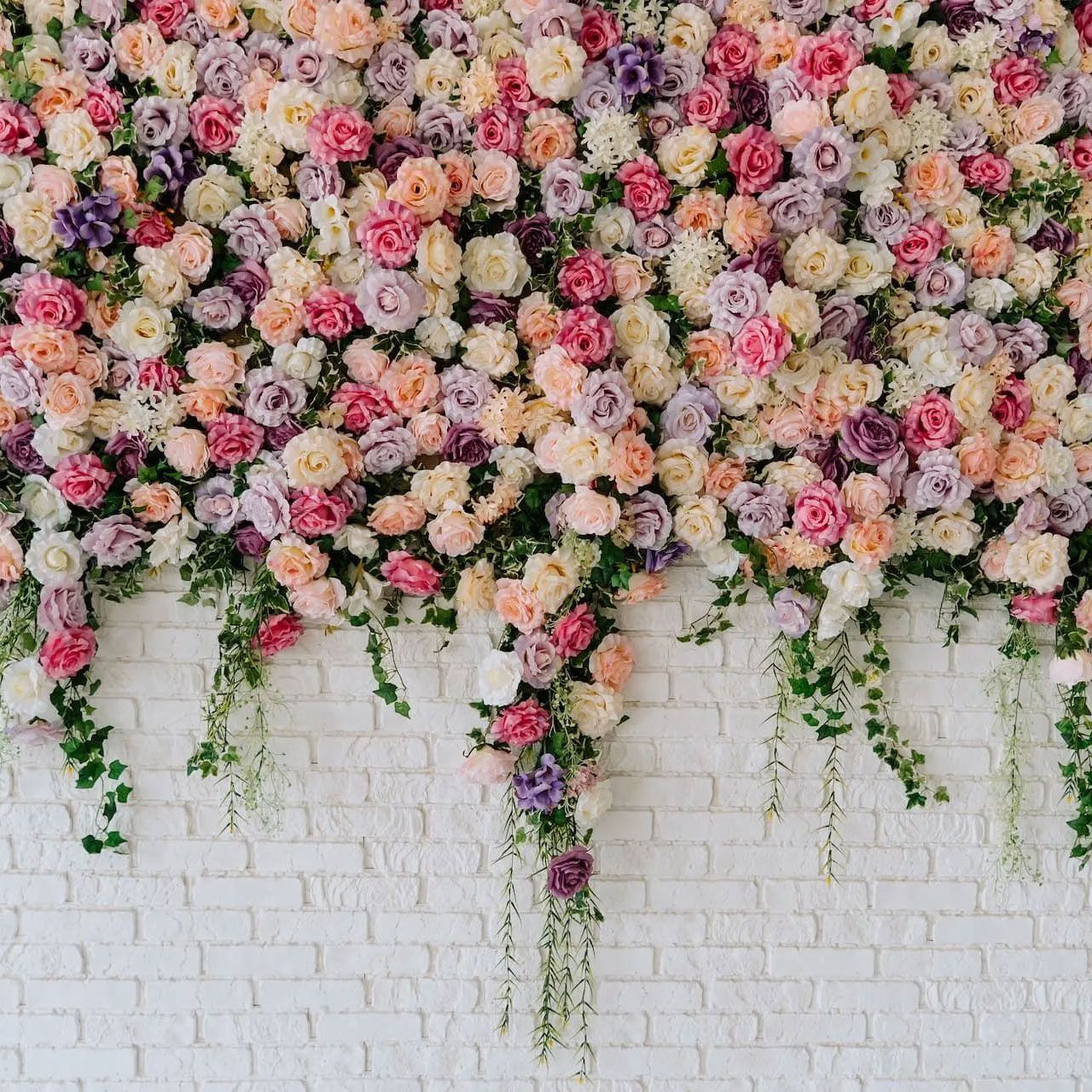 Flowers on a wall