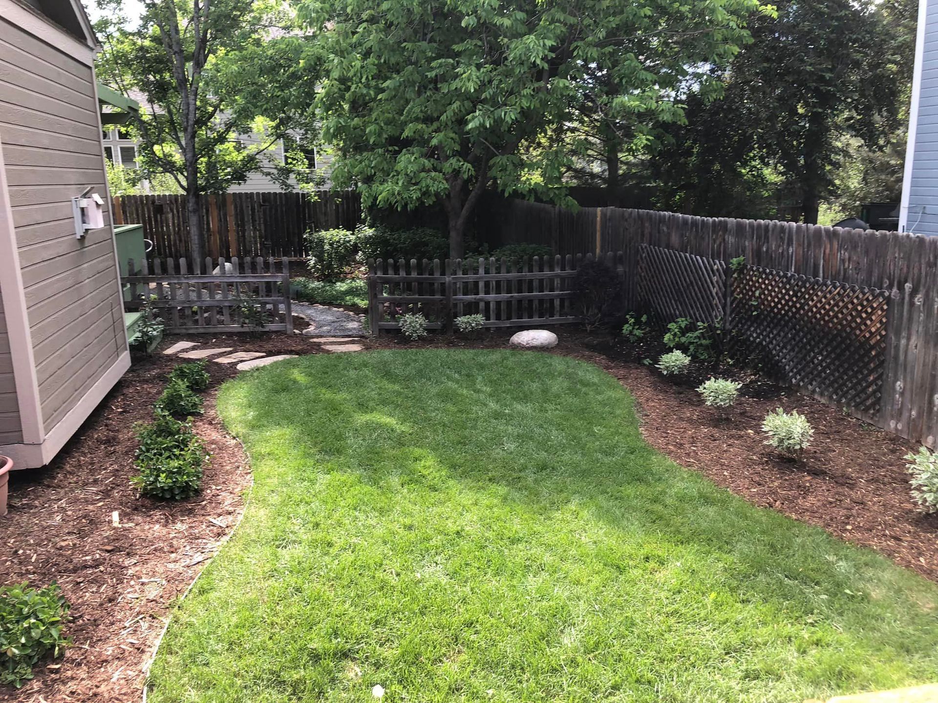 A backyard with a fence and a shed and a lush green lawn.