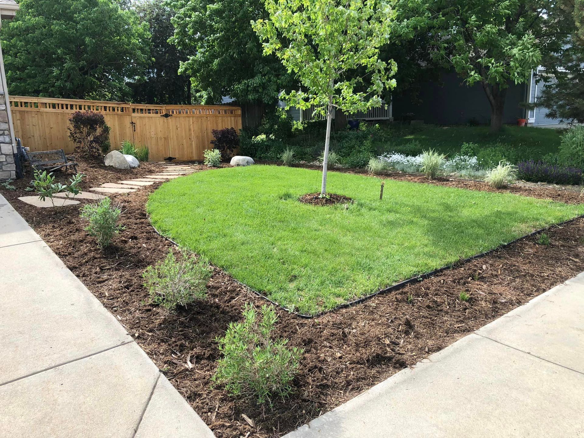 There is a tree in the middle of the lawn.