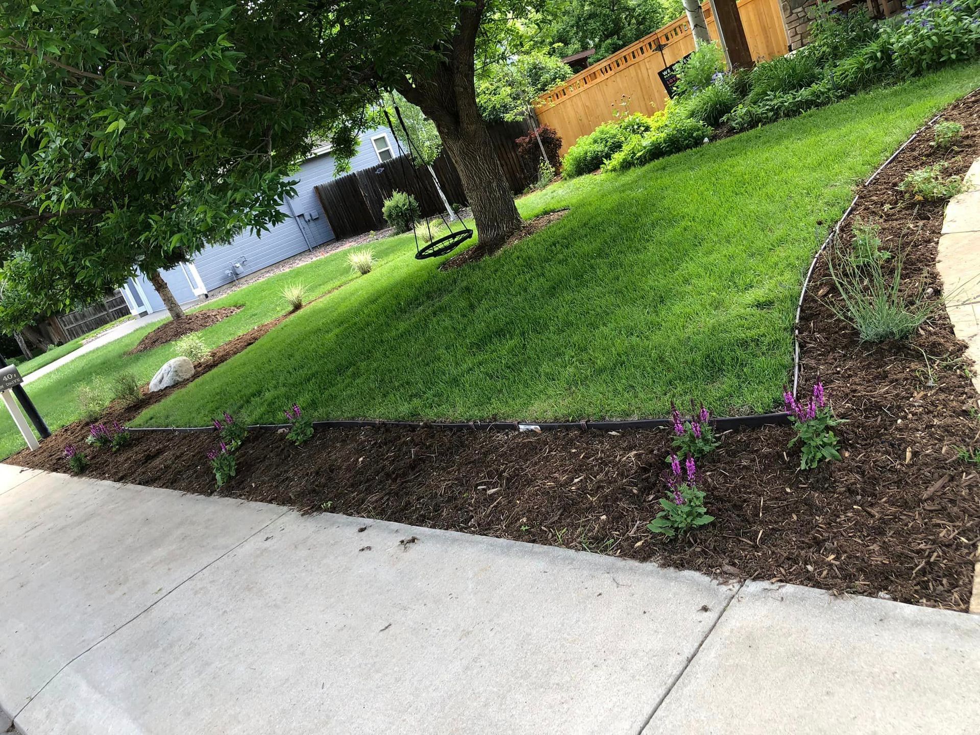 A sidewalk leading to a lush green yard with a tree and flowers.