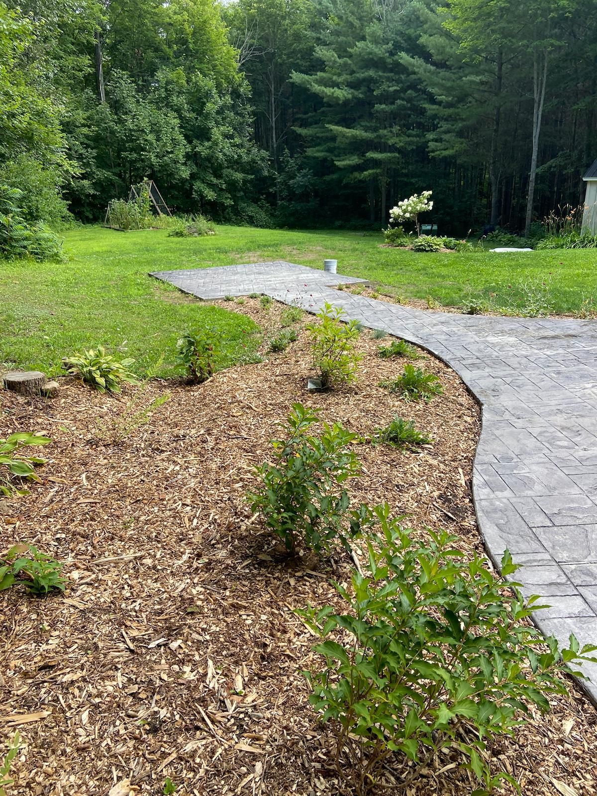 concrete pathway through yard