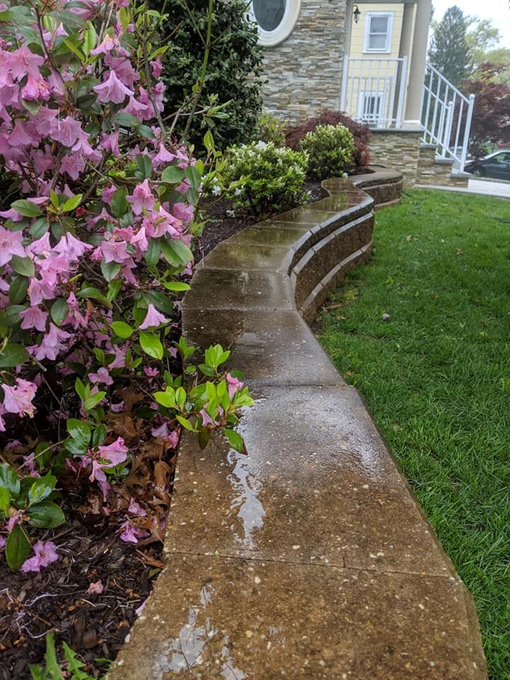 A concrete walkway leading to a house with flowers in the background.