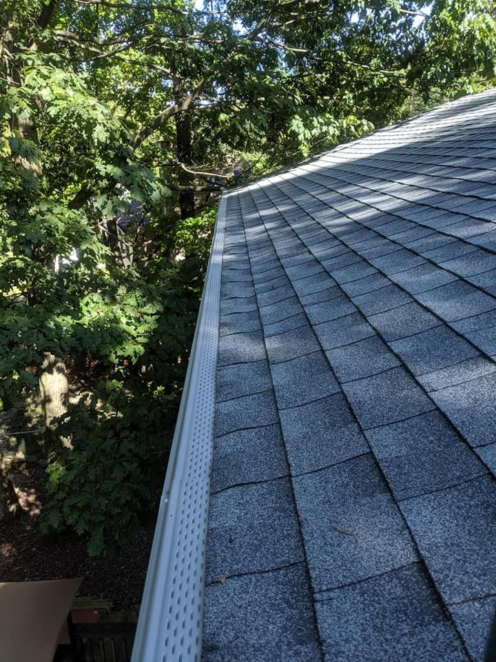 A close up of a roof with a gutter and trees in the background.