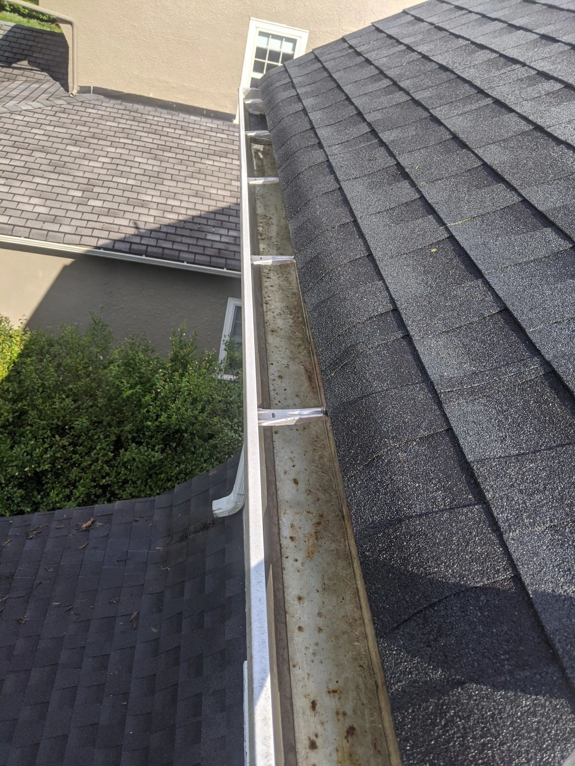 An angled, overhead view looking down into a dirty residential gutter running along the edge of a shingled roof.