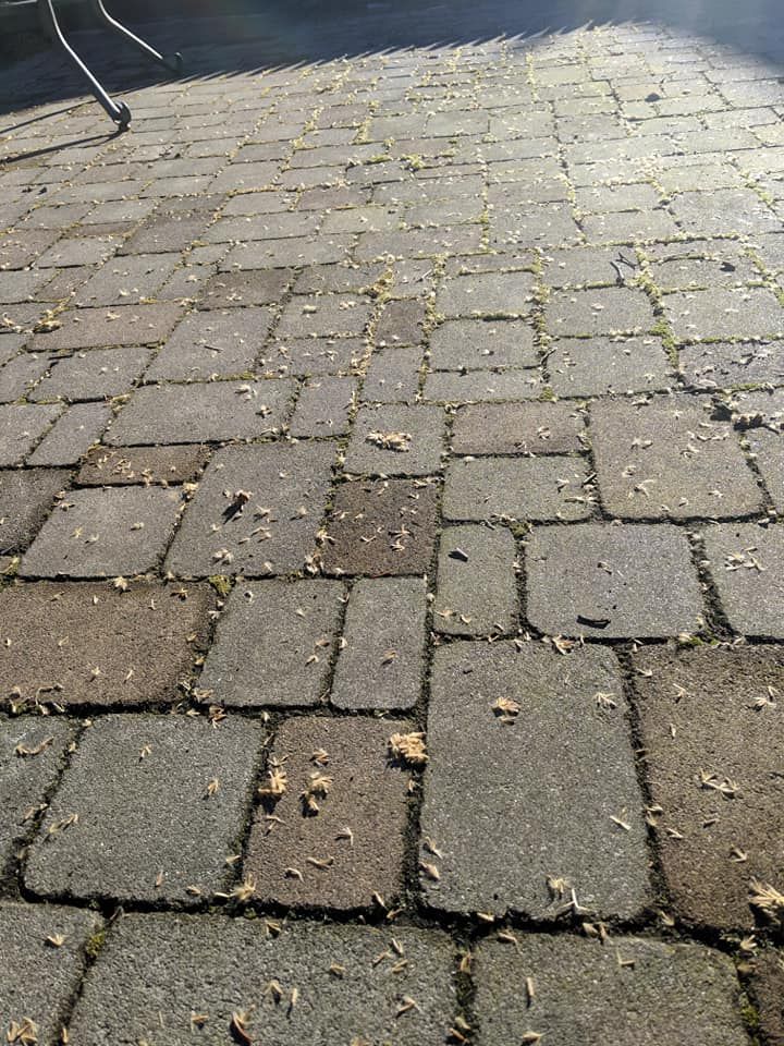 A close up of a brick walkway with leaves on it.