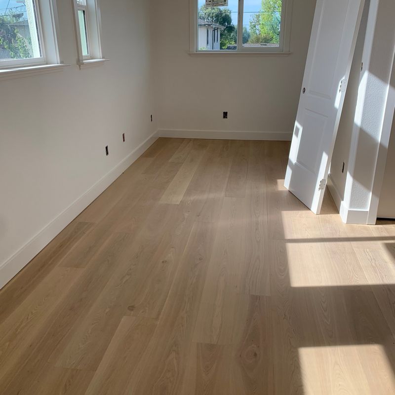 Empty sunlit room with light wood flooring, white walls, and windows casting shadows on the floor