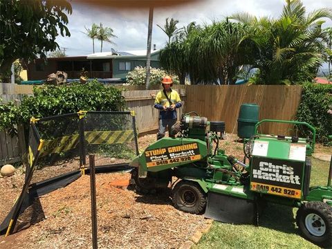 Cropfilter — Chris Hackett Tree Services  In Ballina NSW