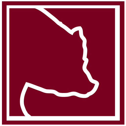 Hamburger and french fries at smokehouse bbq near me