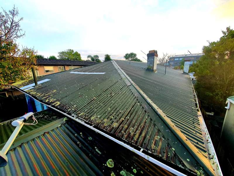 roof repair specialists auckland