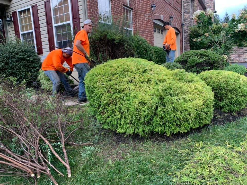 A person wearing green overalls and work gloves installs a roll of sod along a stone garden path in a backyard.