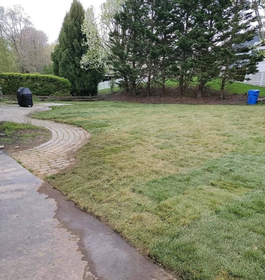Close-up of bright green, slender blades of grass growing from soil, lightly dusted with morning dew droplets.