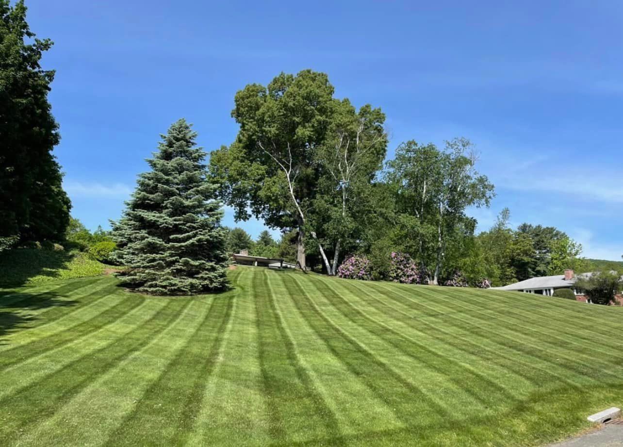 A lush green lawn shows fresh, distinct mowing stripes leading toward a beige house with dark shutters.