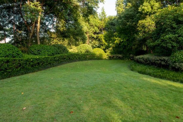A sunlit garden featuring a stone path through a vibrant lawn, surrounded by colorful flower beds and lush green trees. A sunlit garden featuring a stone path through a vibrant lawn, surrounded by colorful flower beds and lush green trees.