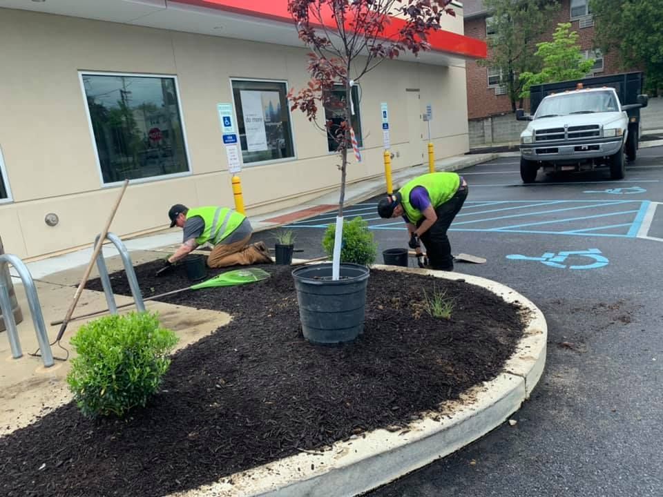 Modern office building entrance with glass doors, a stone-paved plaza, and decorative landscaping.