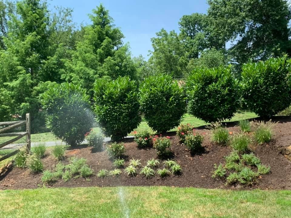 Stone steps lead up through a lush garden with white and pink flowering shrubs and a planter on a stacked stone wall.