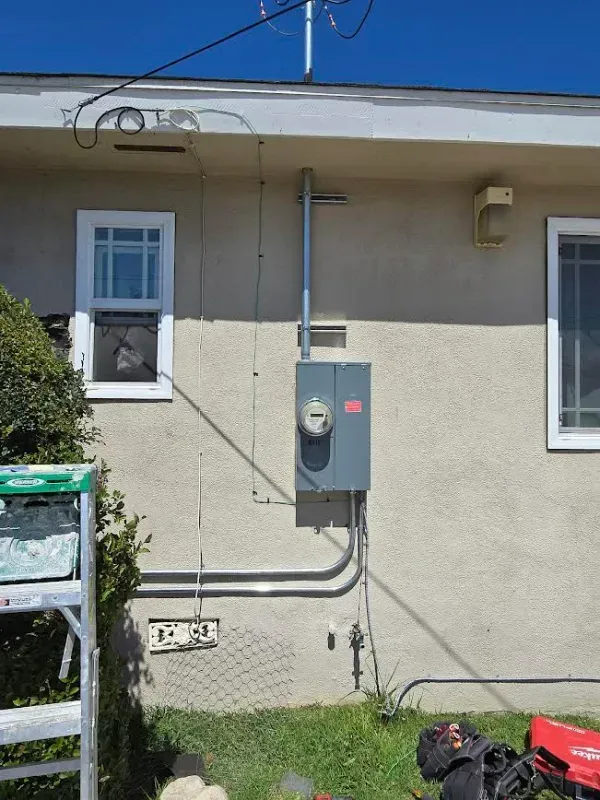 Exterior view of a house with electrical meter and conduit, gray siding, two windows, and a ladder in the foreground.