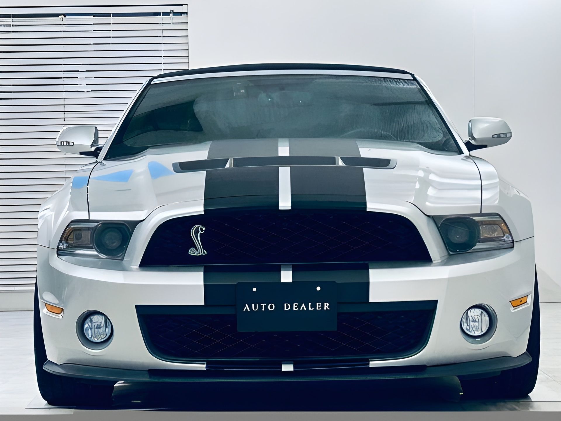 Silver Ford Shelby Mustang with black racing stripes, parked in a showroom.
