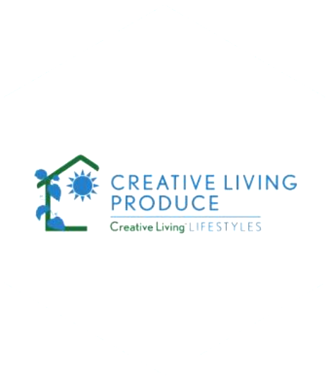 Medina Creative Accessibility