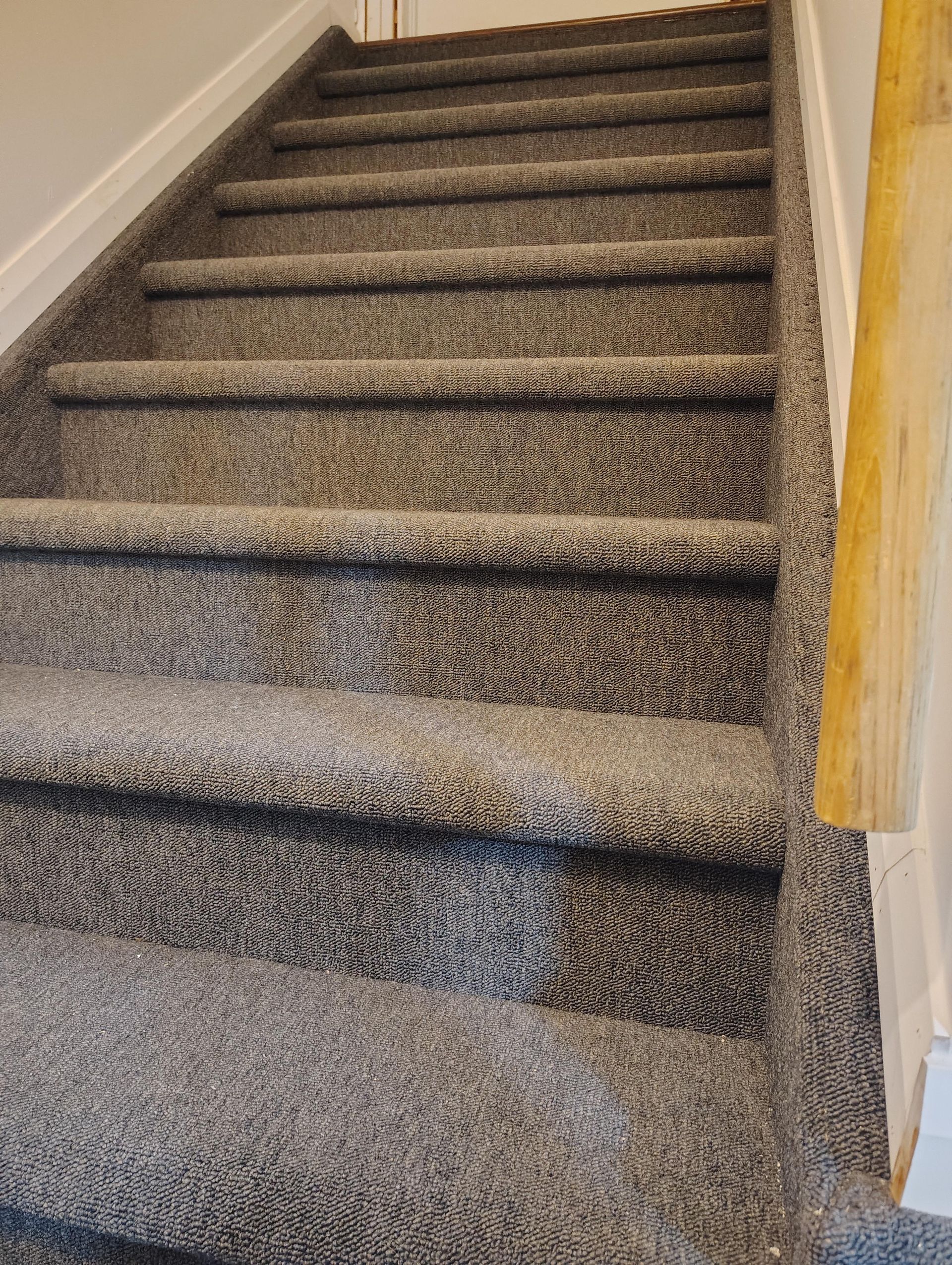 A staircase covered in textured gray carpet with a wooden handrail on the right side.