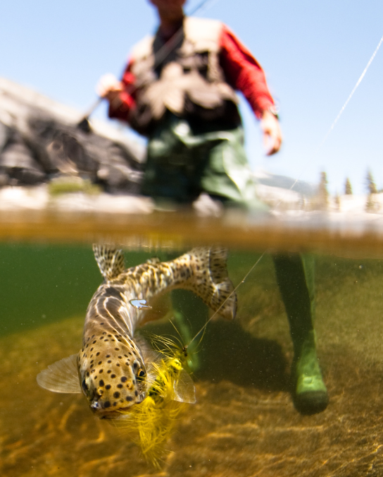 best 5 wt fly reel 8 Best Fly Fishing Reels of 2026 (Reviewed & Compared)  Wild Water Fly  Fishing