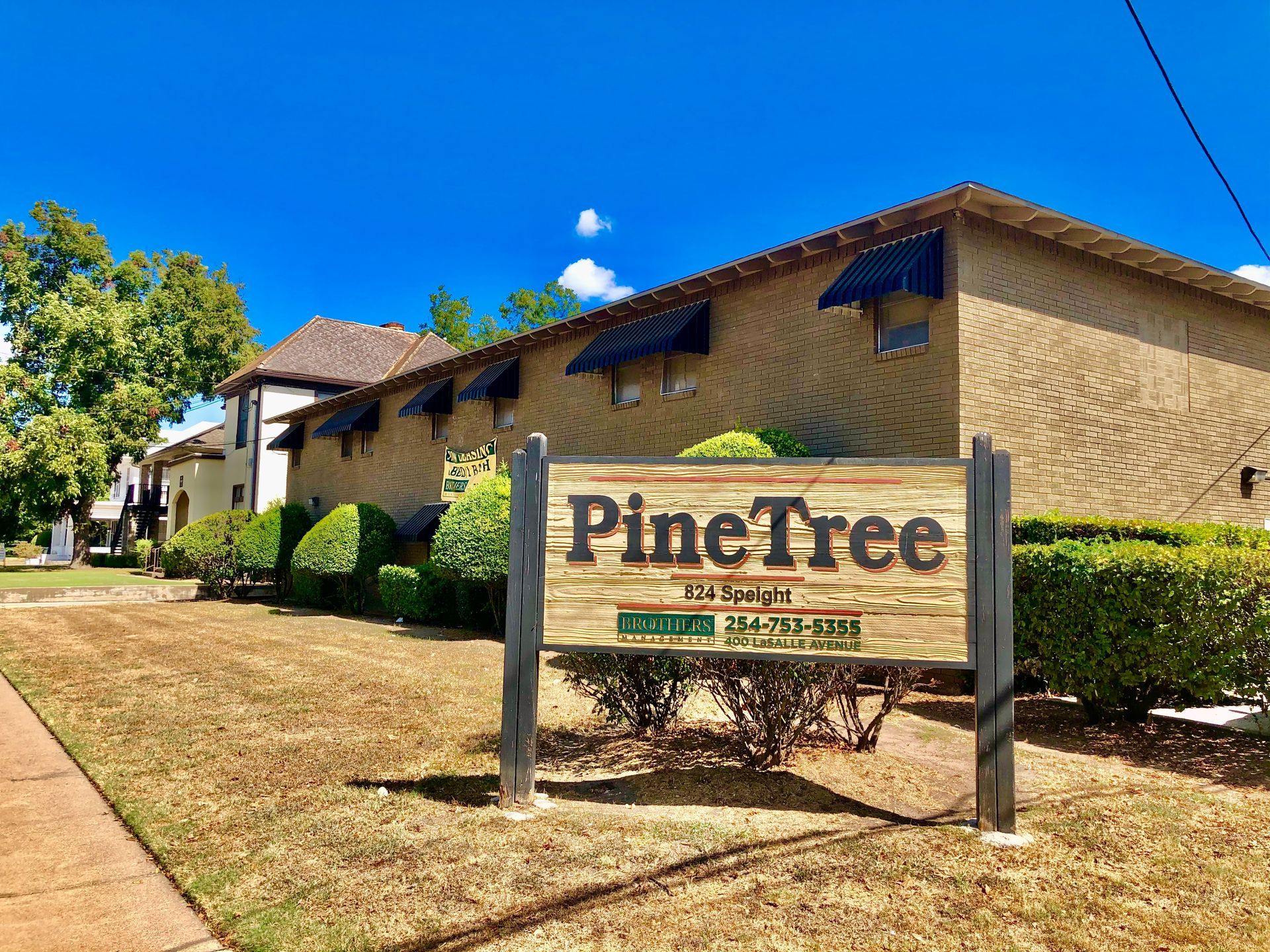 Pinetree