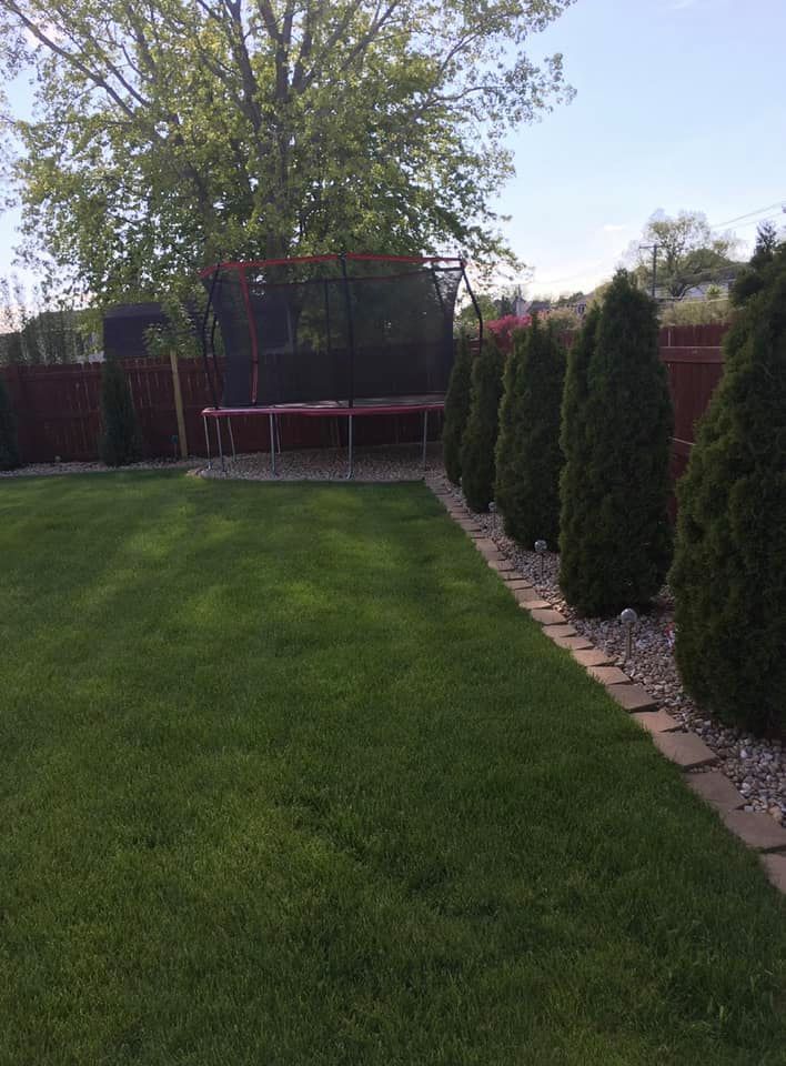 Green Lawn and Tree Stone Border