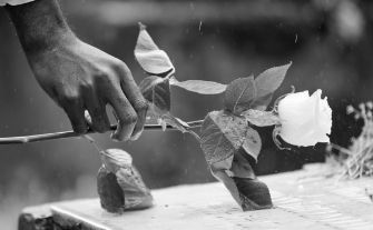 Hand placing a white rose on a casket during a funeral service, honoring a loved one with a meaningful gathering of family and friends.