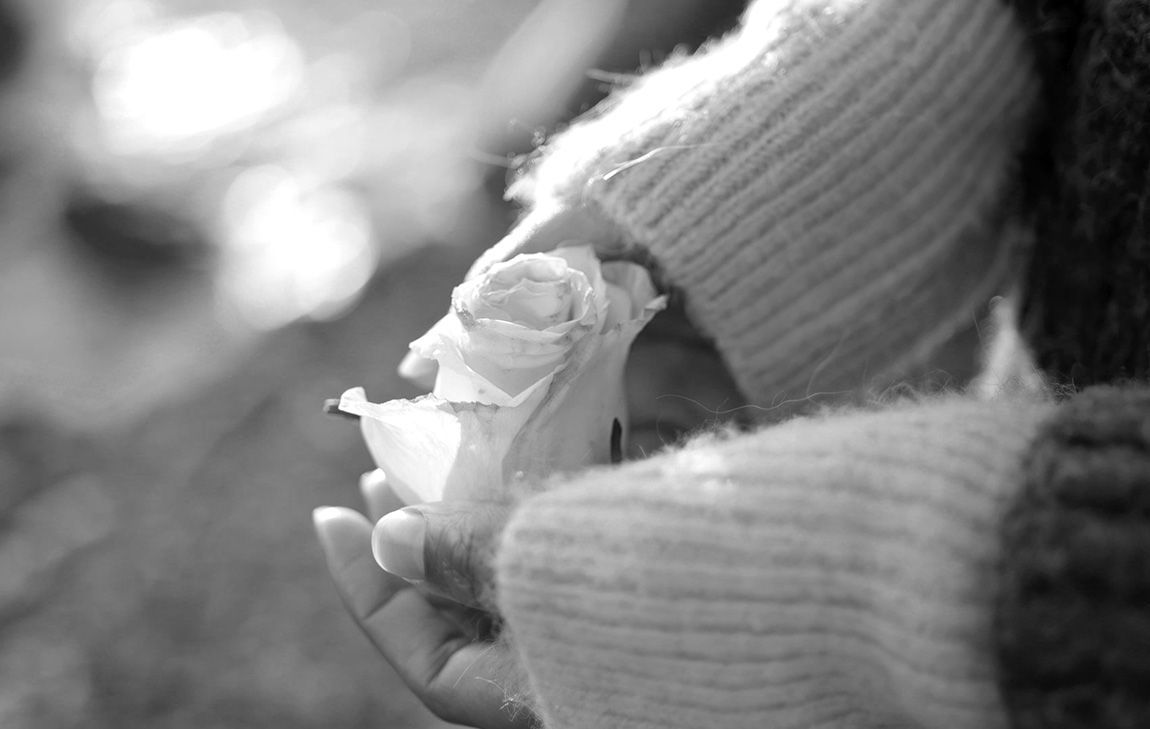 A woman's hands gently cup a rose at a loved one's cremation memorial gathering