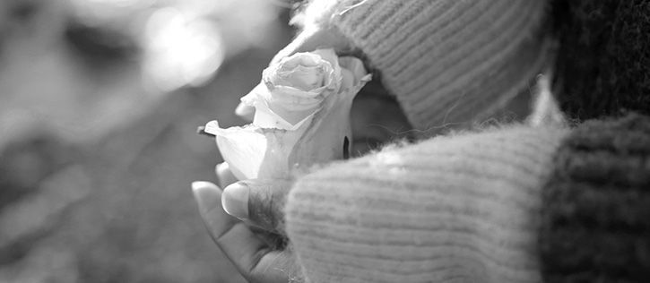 A woman's hands gently cup a rose at a loved one's cremation memorial gathering