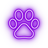 A purple neon sign of a paw print on a white background.