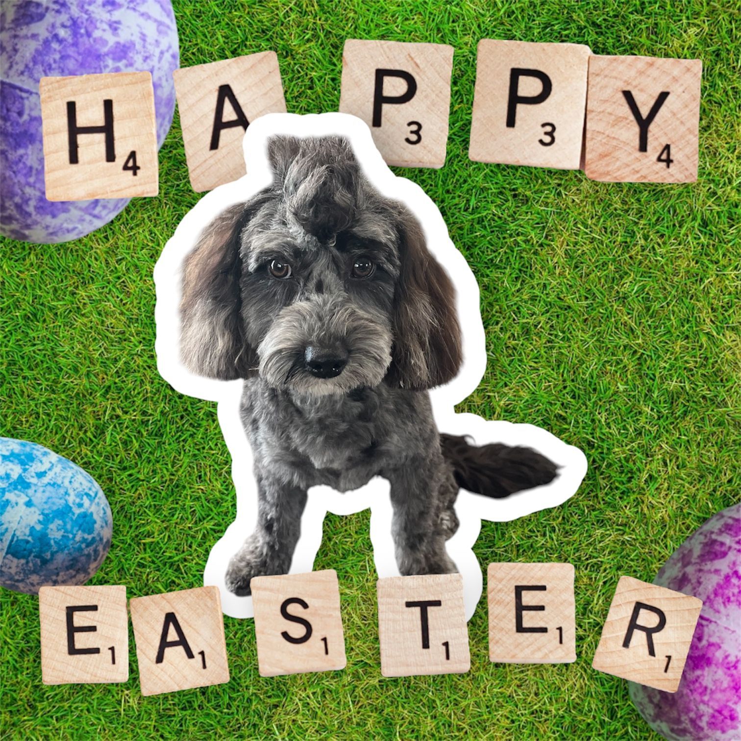 A grey doodle dog in the center of a green grass background, framed by Easter eggs and Scrabble tiles spelling Happy Easter.