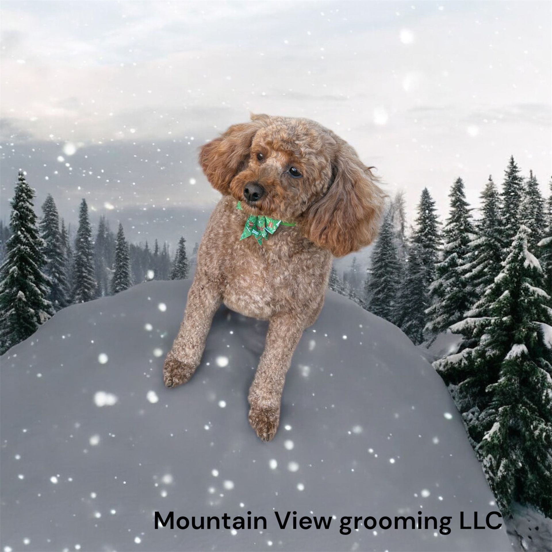 A brown poodle with a green bow sits on a snow-covered hill in a forest, with falling snow and text reading Mountain View.