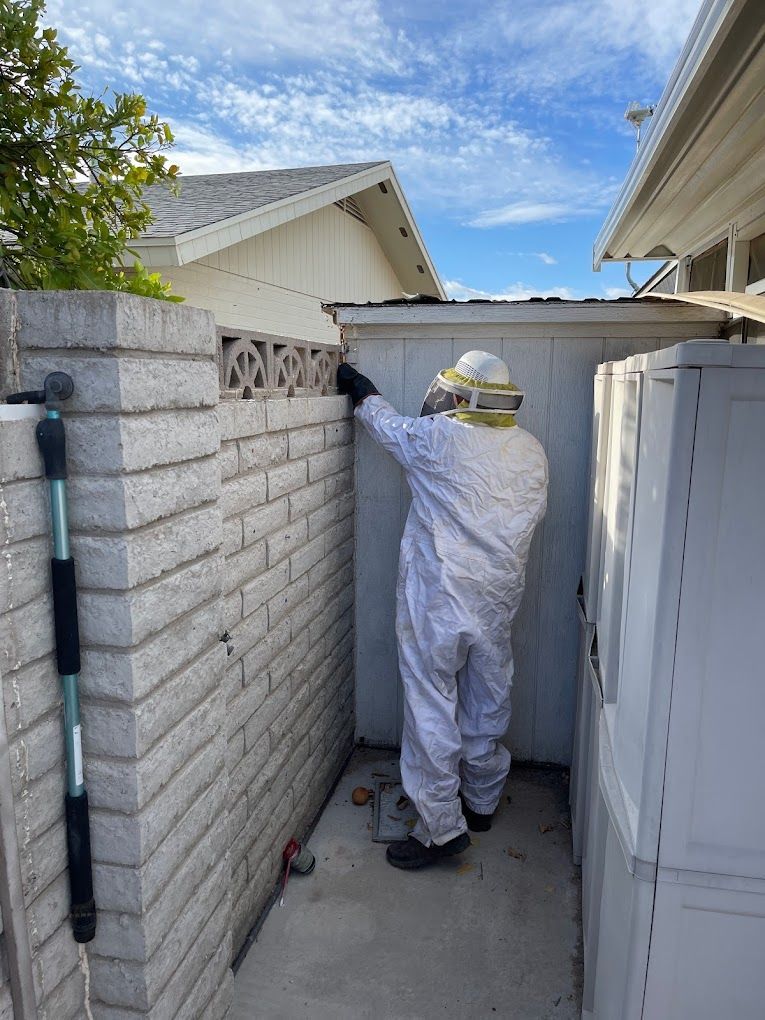 A man in a bee suit is standing next to a brick wall.