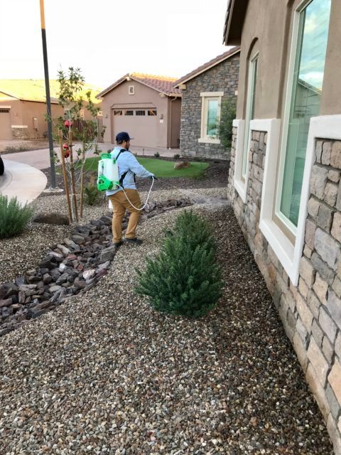 A man is spraying plants in front of a house.