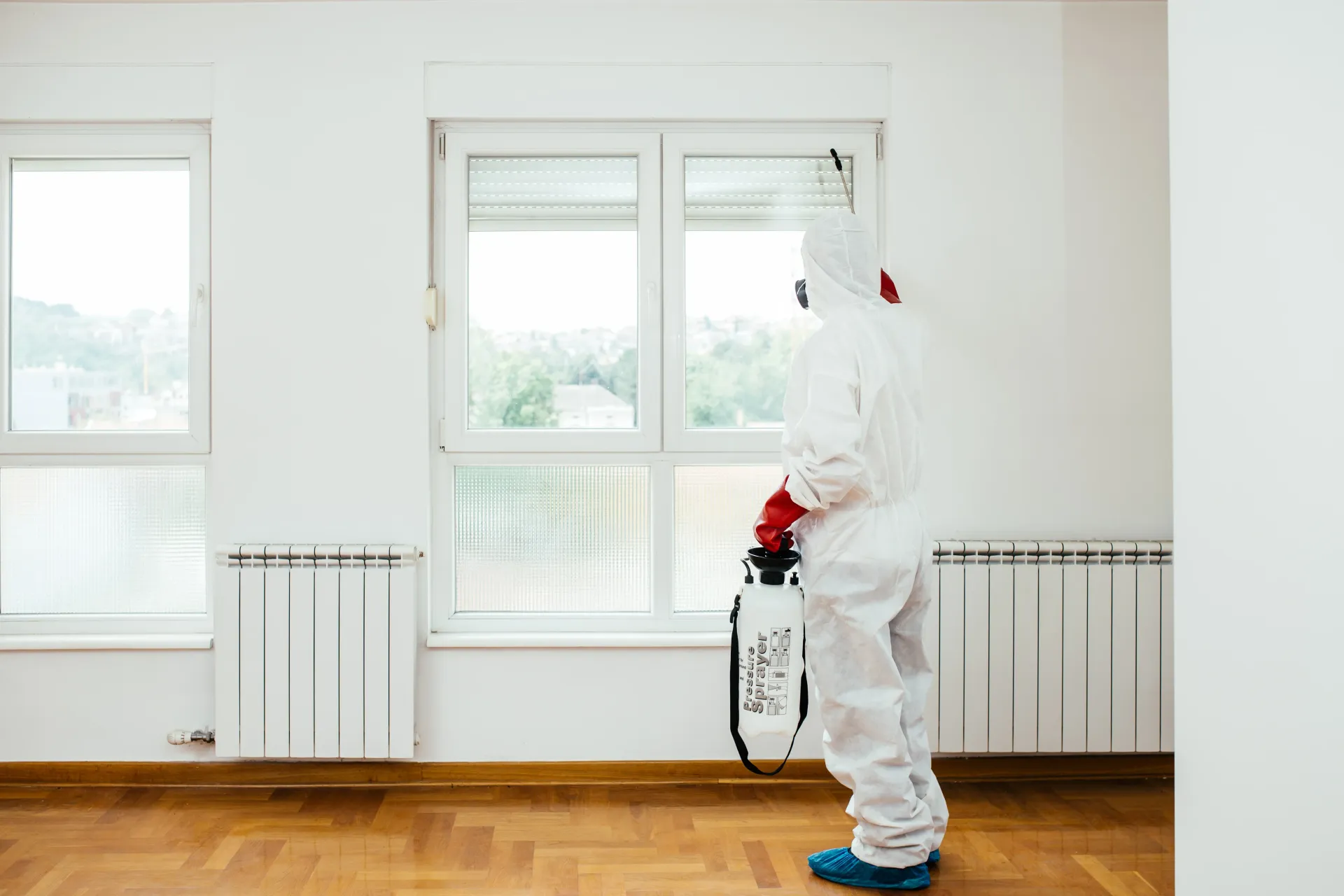 Local pest control experts in Mesa, AZ performing pest control services