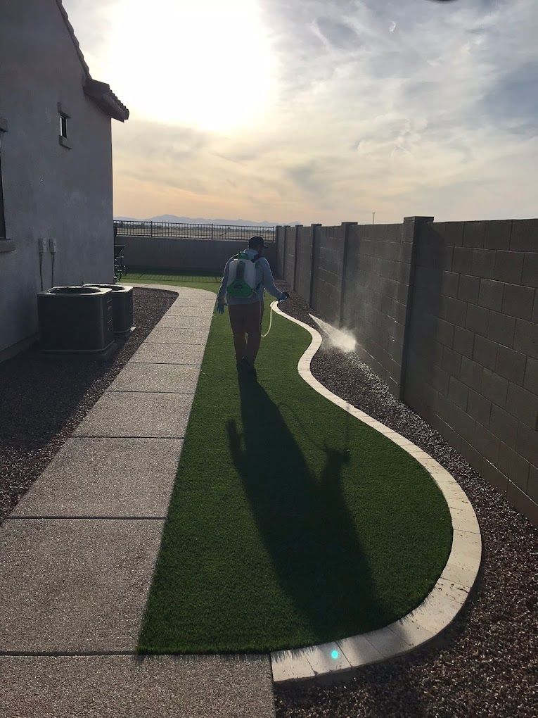 A man is spraying a lawn with a hose.