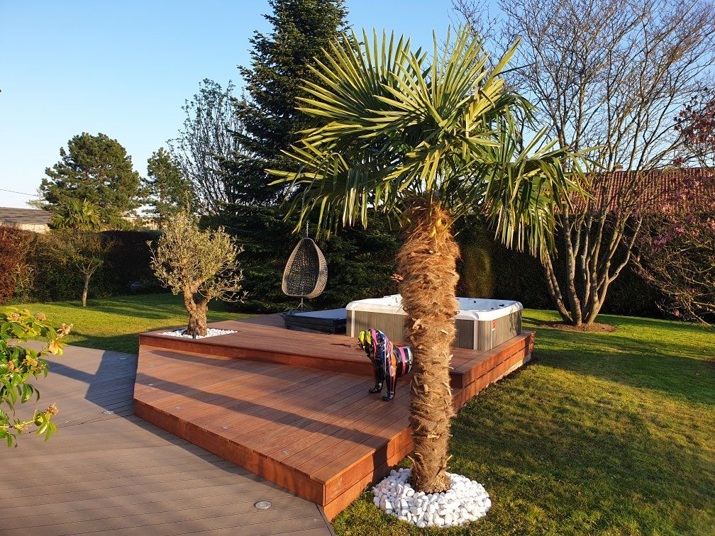 Un palmier se trouve au milieu d'un jardin à côté d'un jacuzzi.