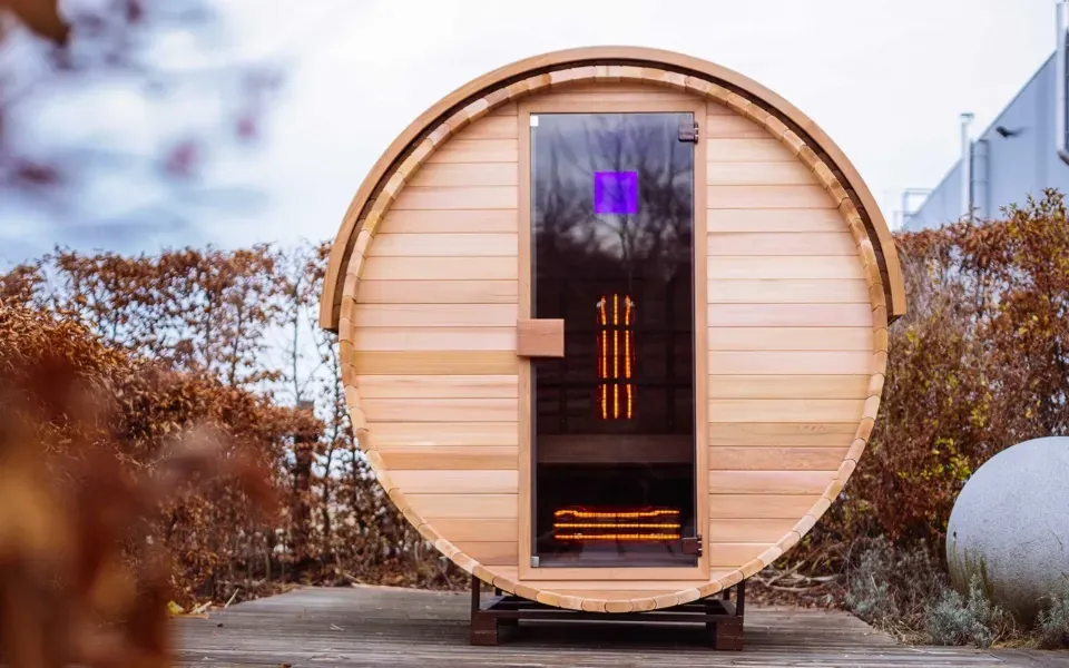 Poêle à Bois ou Électrique : lequel choisir ?