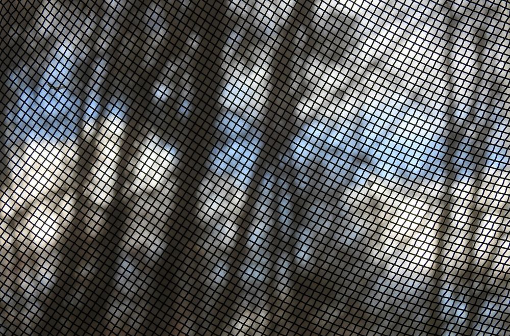 Shadows of Trees and Sky Visible Through a Dark Mesh Screen — Working Windows in Byron Bay, NSW