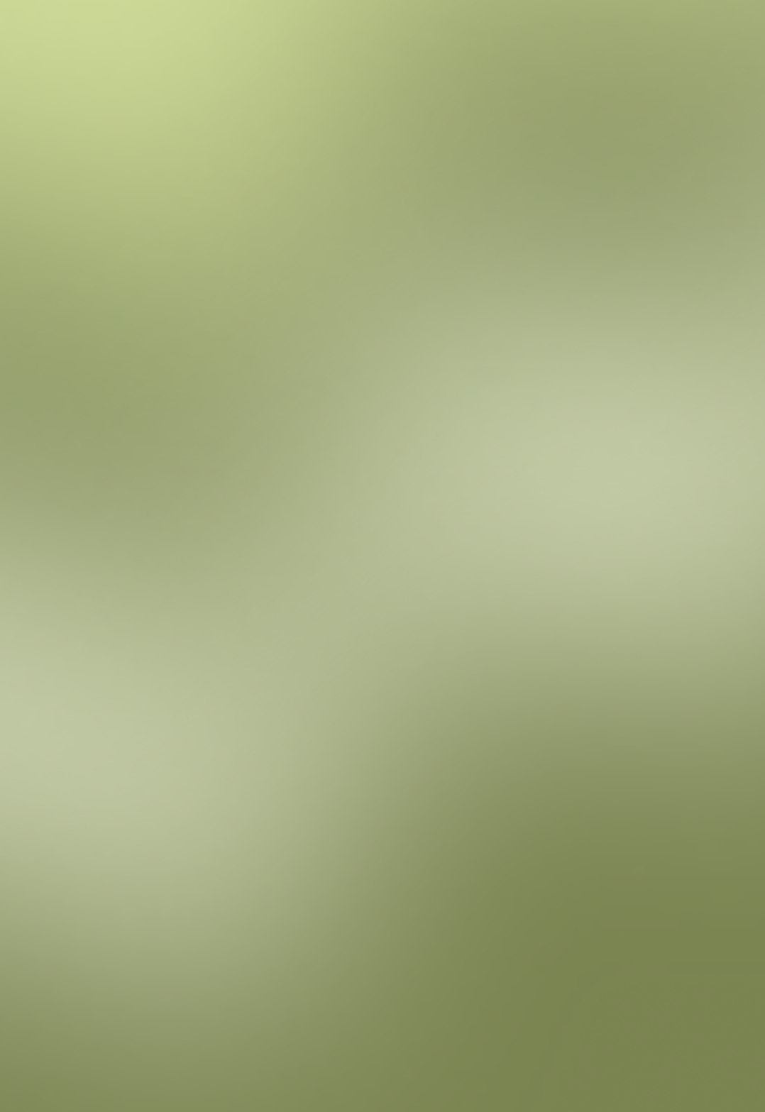 A blurry background featuring a soft, gradient wash of olive and pale green hues — Working Windows in Byron Bay, NSW