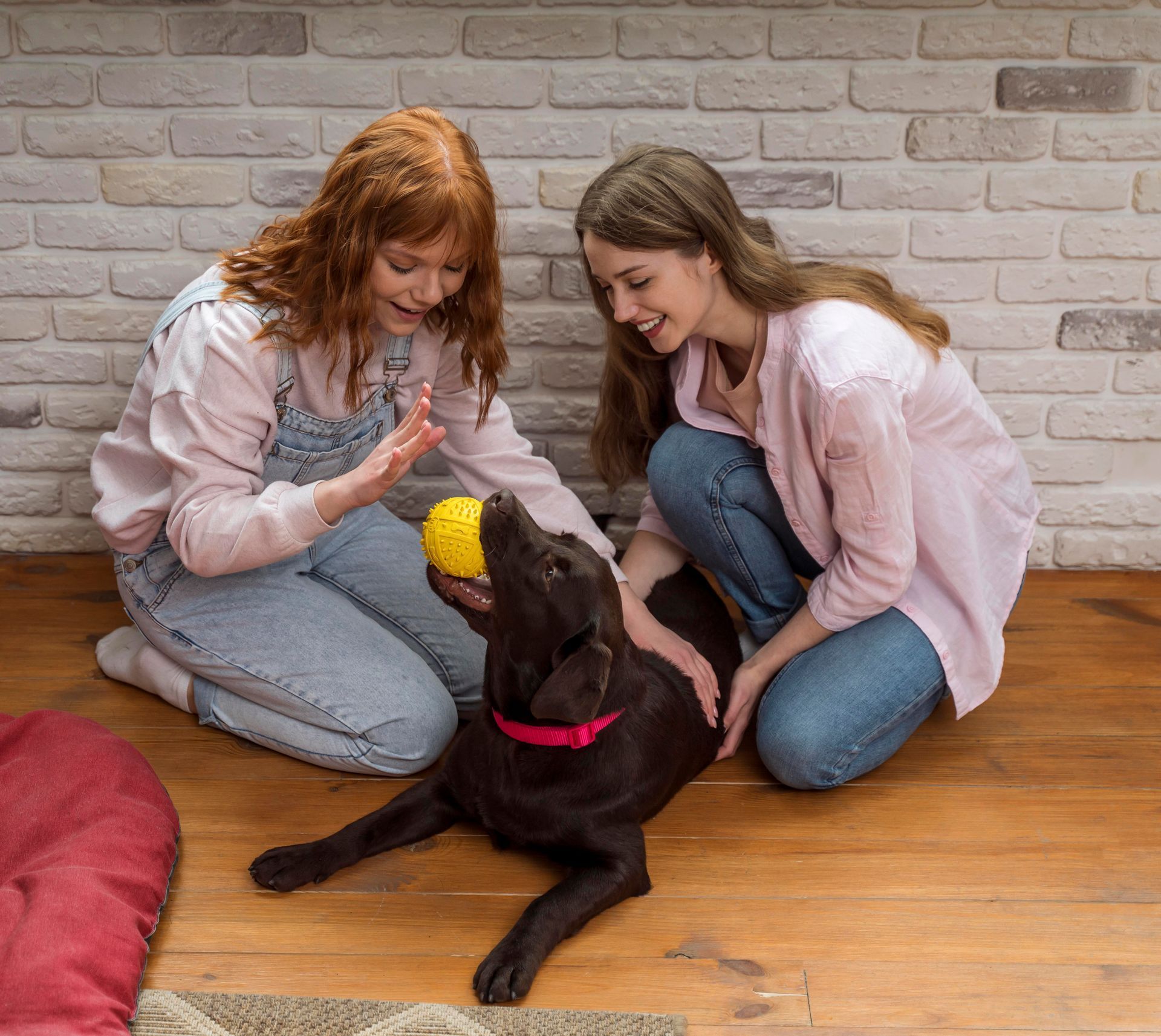 Dos mujeres están arrodilladas junto a un perro con una pelota de tenis en la boca.
